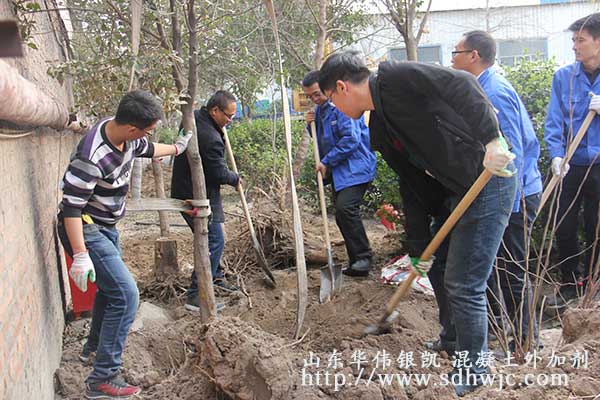 山東華偉銀凱建材科技股份有限公司 植樹活動圓滿成功